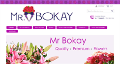 Desktop Screenshot of mrbokay.com