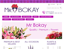 Tablet Screenshot of mrbokay.com